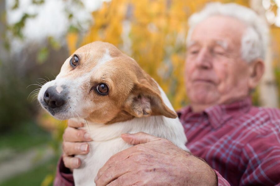 Elderly man holding his cute dog.
